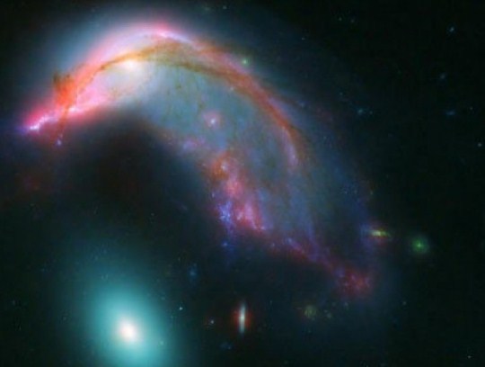 Специалисты NASA поймали в космосе пингвина с яйцом