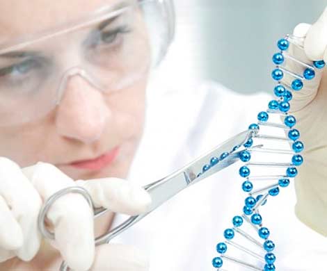 Ученые планируют создать генетически модифицированного человека с IQ в 1000 баллов