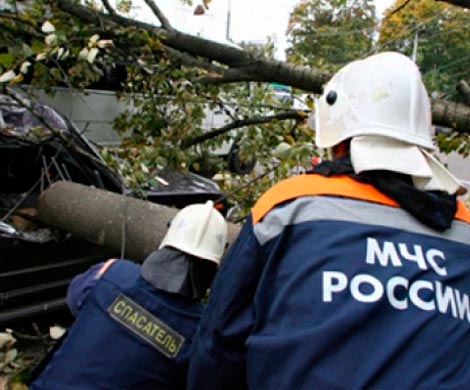 Ураган в Москве не знал о регламенте. Москвичи не знали о надвигающемся урагане