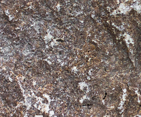 В Москве открывается самая представительная в Восточной Европе выставка природного камня