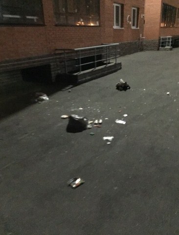 В Омске жильцы элитной новостройки выбрасывают мусор прямо с балконов