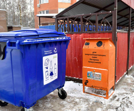 В Подмосковье прошло более 110 тысяч уроков раздельного сбора отходов