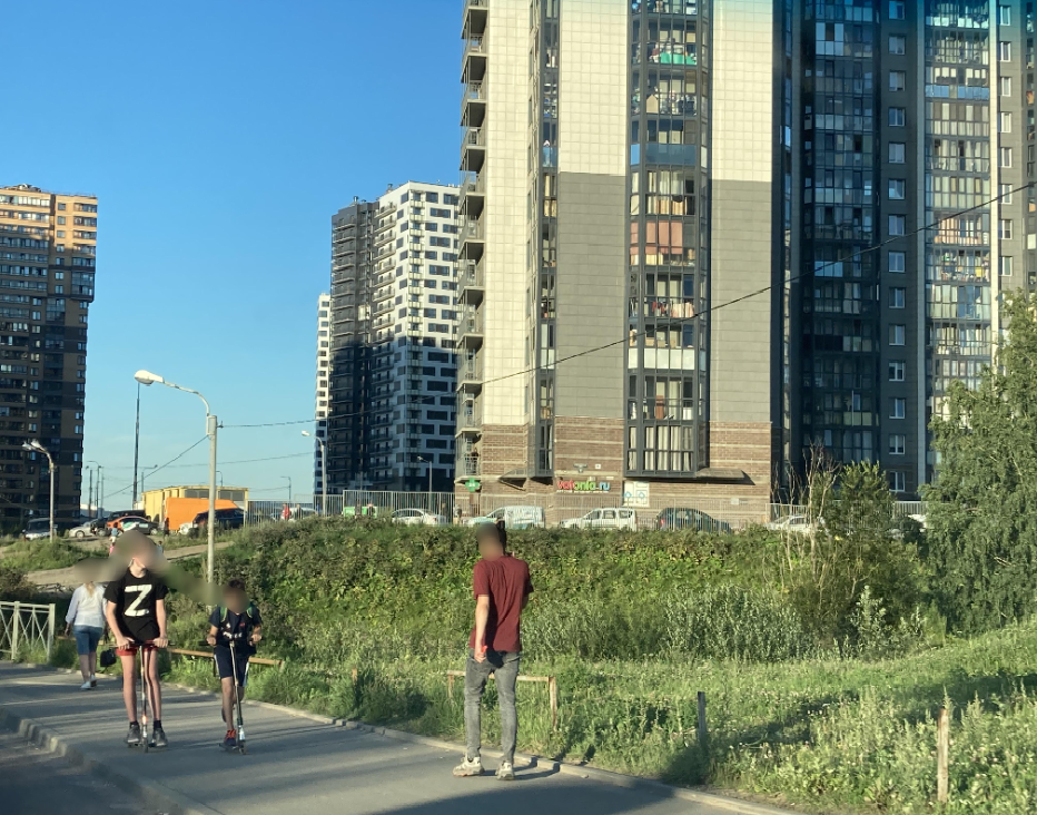 В Смольном не ведут борьбу с «захватывающим» Петербург борщевиком