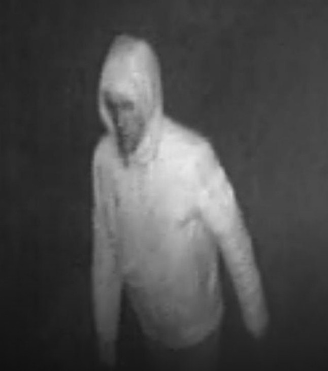 В Тамбове опубликовали фото убийцы из парка Дружбы