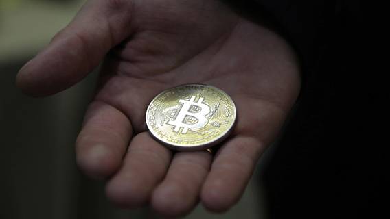 В Великобритании обнаружена крупная биткоин-шахта во время полицейского рейда по поиску конопляной фермы