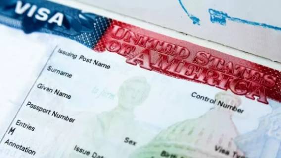 Виза EB-2 NIW в США: кто может получить