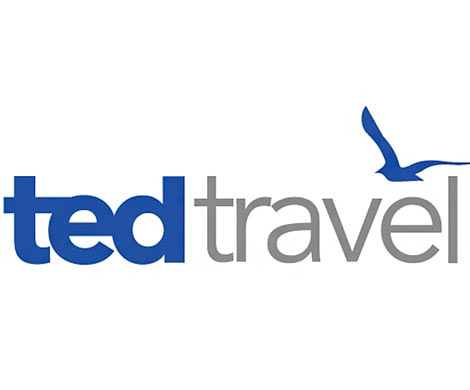 Владелец Ted Travel сбежал 