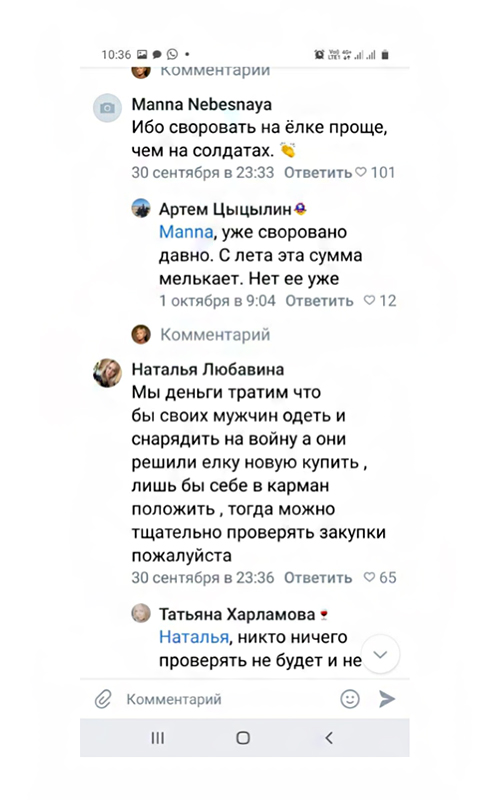 Власти Воронежа проигнорировали просьбы граждан сократить расходы на празднование Нового года