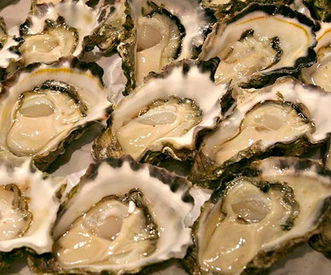 Эксперты анонсировали падение цен на устрицы и морскую капусту