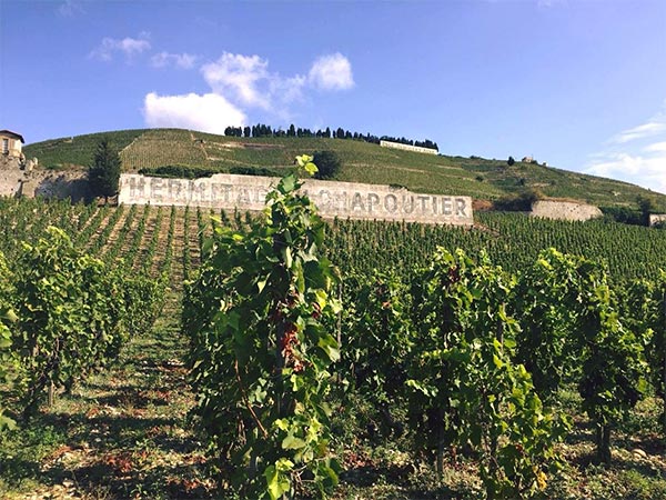 Эногастрономический ужин в Wine Happens с представителем M. Chapoutier