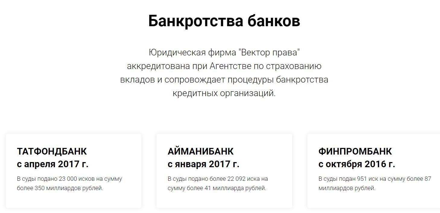 Юлия Медведева направила свой «Вектор» на редакцию The Moscow Post